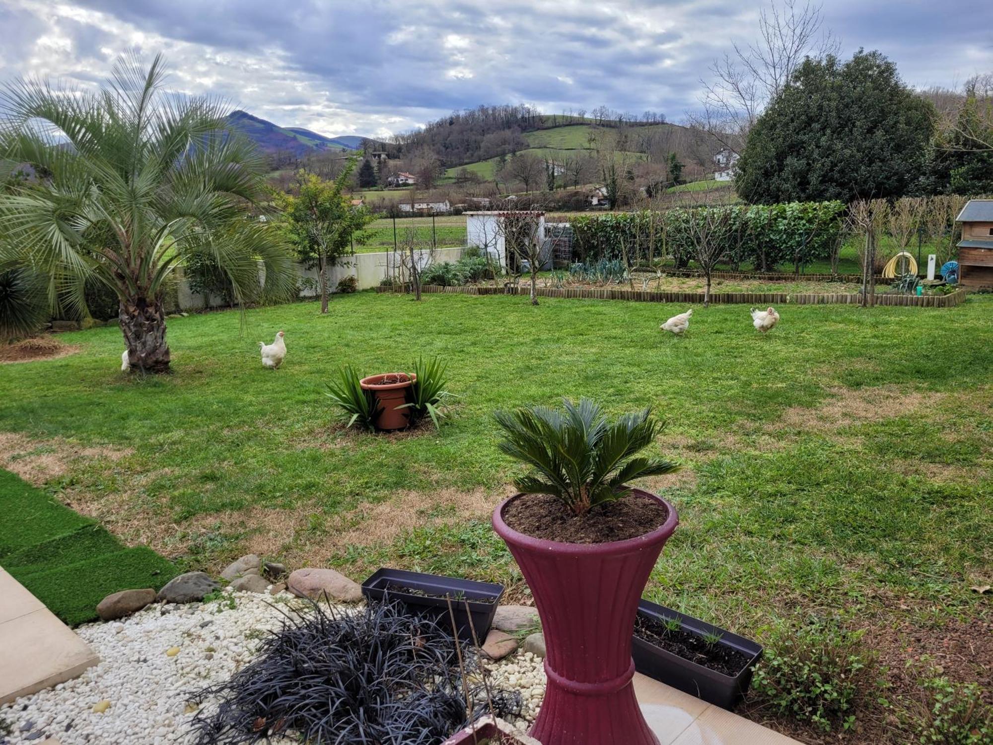 Gites Vue Montagne St Jean Pied De Port Pays Basque サン・ジャン・ピエ・ド・ポル エクステリア 写真